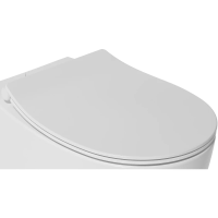 Сиденье для унитаза с микролифтом Isvea Sentimenti Neo 40D80200I-S