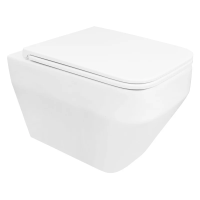 Унитаз Azario Moneo AZ-0062 подвесной, безободковый, с сиденьем микролифт, 53x36.5x37 см, белый