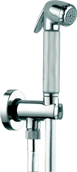 ГидроЁршик для унитаза Bossini Nikita C69006.B.030 хром