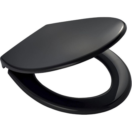 Сиденье для унитаза Ridder Mempхhis О2217110 с микролифтом, черное