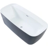 Акриловая ванна 170х78 см Aquanet Fine 95778-GW-MB код 00292985, цвет Белый глянцевый/ Черный матовый