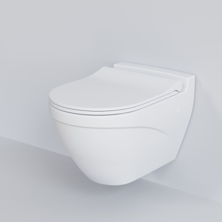 сиденье для унитаза ambassador nord 132t20101s с микролифтом