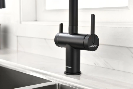 смеситель для кухни с подключением к фильтру paulmark gravity gr213888-an