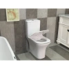 унитаз компакт cerutti spa ct7192 с бачком и сиденьем микролифт, безободковый, цвет белый