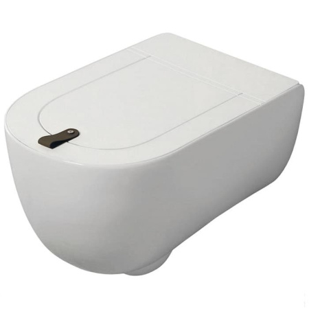 Artceram Artceram THE ONE Унитаз подвесной безободковый 52х35см, цвет: белый