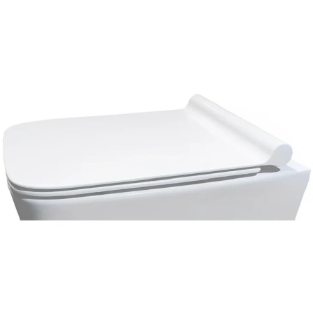 сиденье для унитаза ceruttispa maiella aria ct8423 с микролифтом, белый