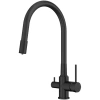 Смеситель Elghansa KITCHEN Pure Water 56F5216-Black для кухни, с гибким изливом, с подключением к фильтру, черный матовый