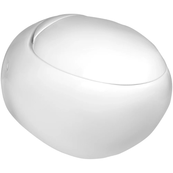 унитаз подвесной weltwasser jeckenbach 004 gl-wt 10000003809 белый глянец с сиденьем микролифт