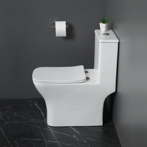 унитаз-моноблок belbagno neon bb8617cpr-mn/sc безободковый с сиденьем микролифт.