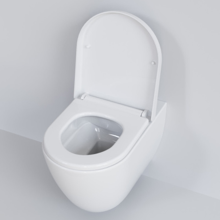 сиденье для унитаза ambassador queen 112t20001 с микролифтом